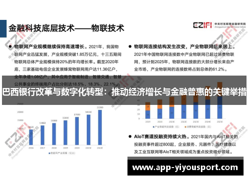 巴西银行改革与数字化转型：推动经济增长与金融普惠的关键举措